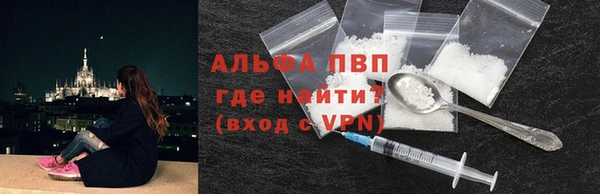 твердый Арсеньев