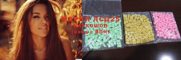 твердый Арсеньев
