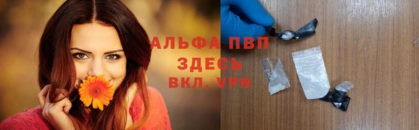 твердый Аркадак