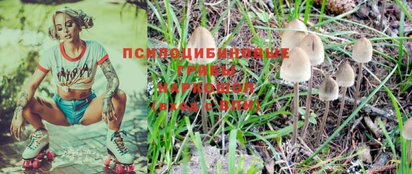 твердый Арсеньев